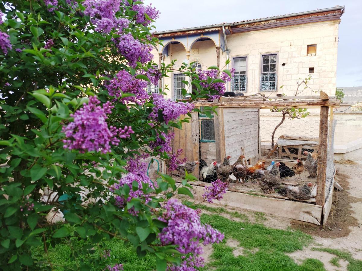 Armesos Cave Hotel Ургуп Экстерьер фото